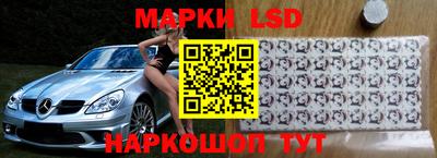 стаф Бердск