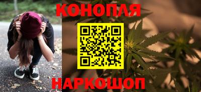 стаф Бердск