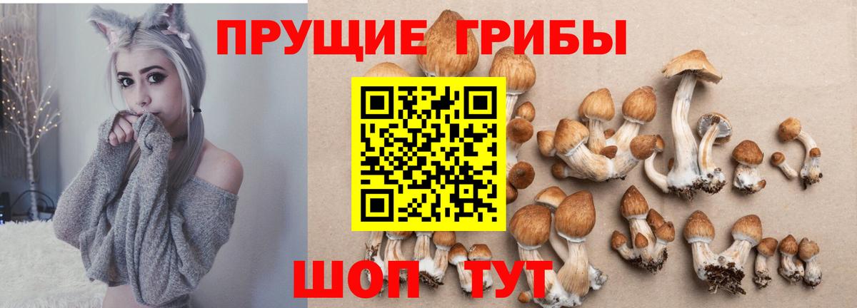 Галлюциногенные грибы MAGIC MUSHROOMS  Вход с VPN  Вятские Поляны  Галлюциногенные грибы GOLDEN TEACHER 